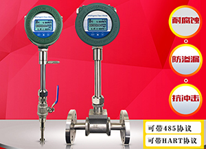 DN100熱式氣體質(zhì)量流量計